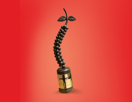 Top Branding agency in Bangalore,Pune